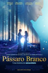 PĂĄssaro Branco: Uma HistĂłria de ExtraordinĂĄrio