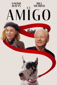 O Amigo