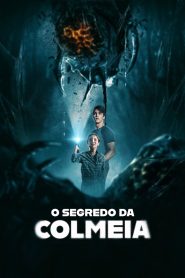 O Segredo da Colmeia