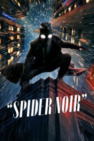 Spider-Noir Colorized